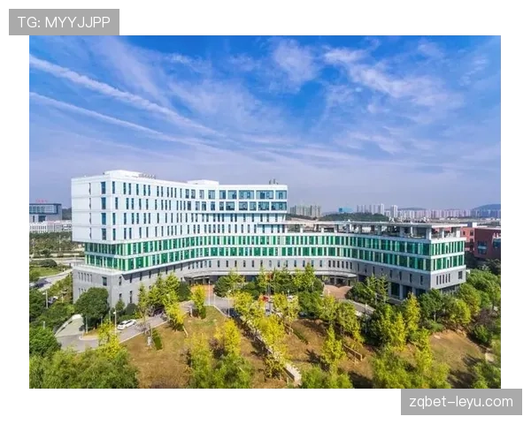 马里聚焦经济复苏与可持续发展，擘画未来新蓝图