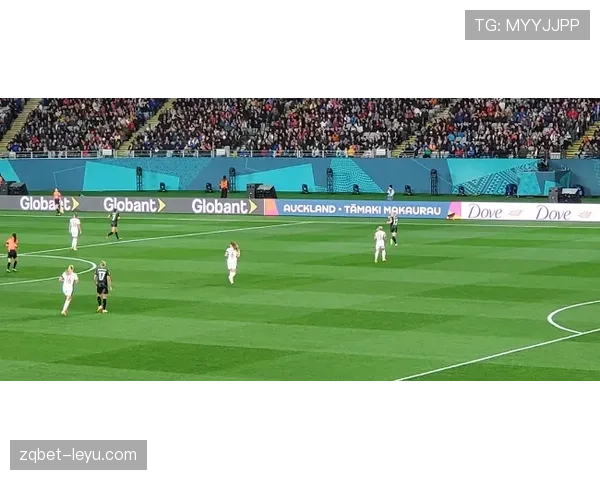 罗马尼亚足球的世界杯荣光与未来征程：从辉煌瞬间到复兴之路