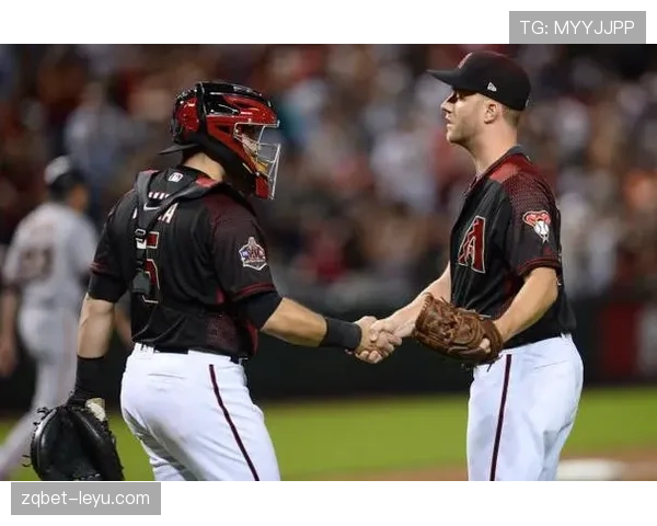 费内巴切防守稳固，强势开局彰显新赛季反弹势头